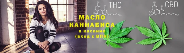 дмт Бородино