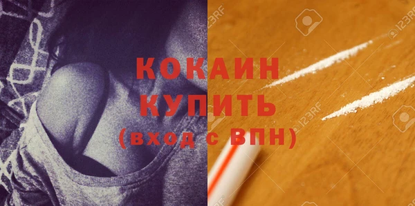дмт Бородино
