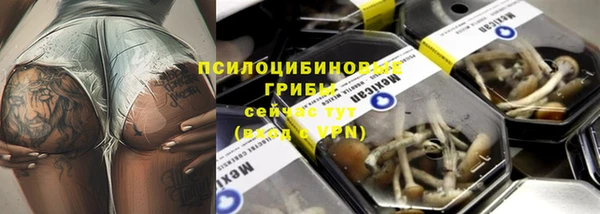 дмт Бородино